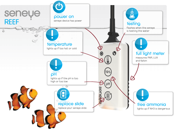 SeneyeUSB Reef V6