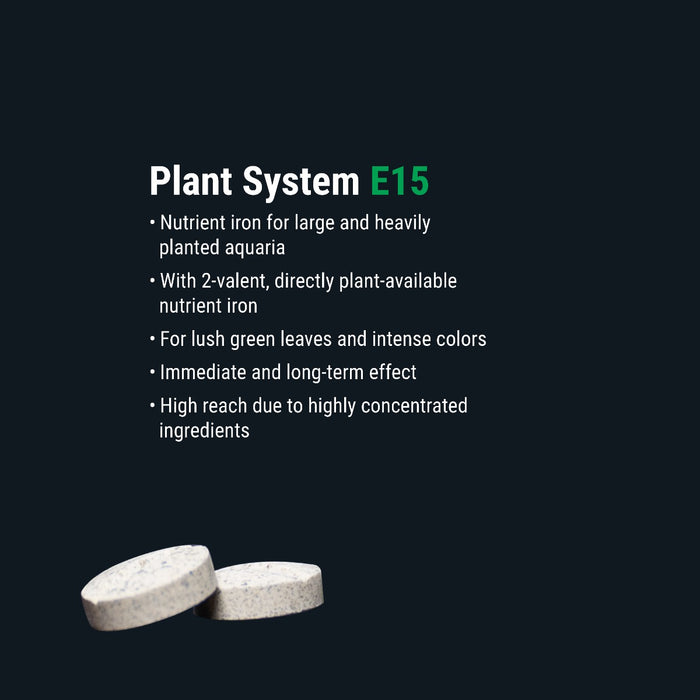 DENNERLE Plant System Set