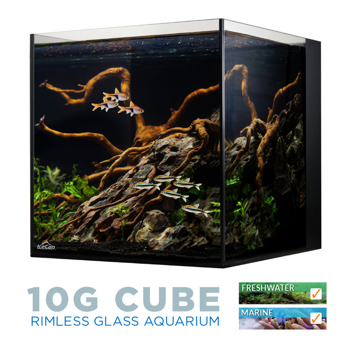 IceCap All In One Aquarium 10G