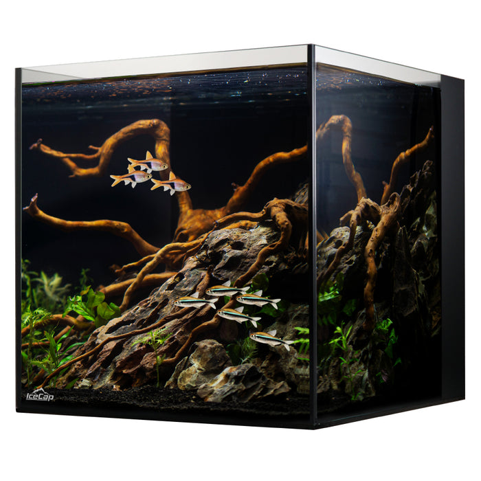 IceCap All In One Aquarium 10G