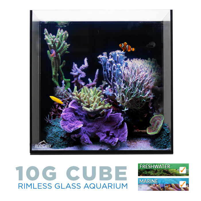 IceCap All In One Aquarium 10G