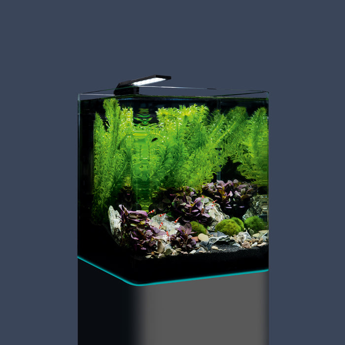 DENNERLE Nano Cube Complete 20L/5G