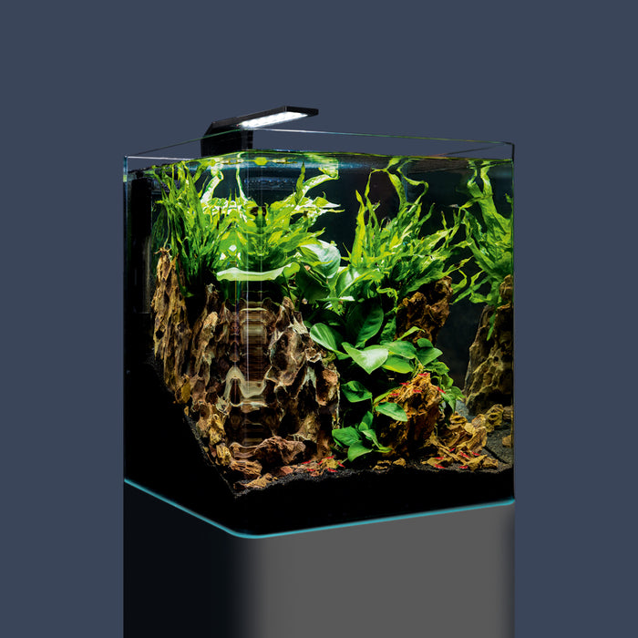 DENNERLE Nano Cube Complete 30L/8G