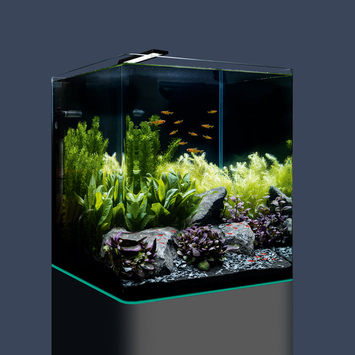 DENNERLE Nano Cube Complete 60L/16G