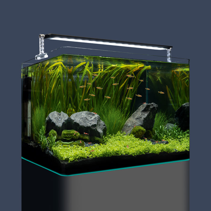 DENNERLE Nano Tank Plant Pro 70L/18.5G