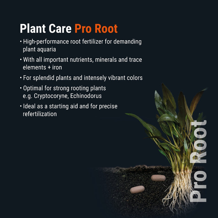 DENNERLE Plant Care PRO Root 10 Pcs