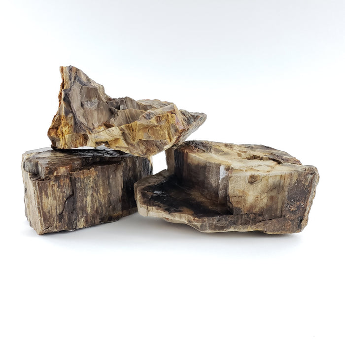 Lifegard Aquatics Canyon Petrified Stone 15 Lbs of Small and Medium Size Mix Case