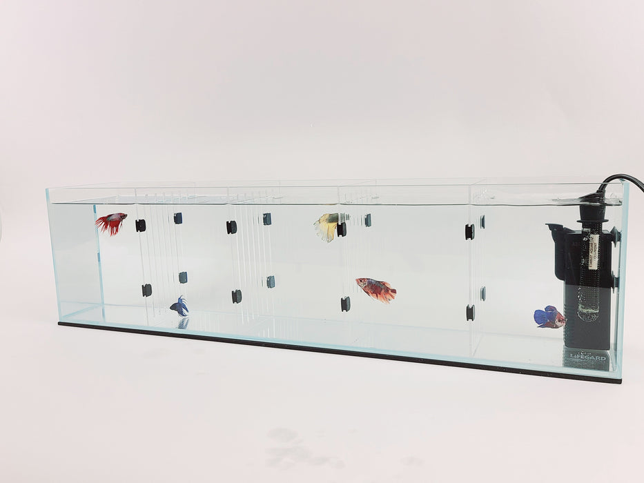 Lifegard Aquatics Acrylic Divider Plate for 6 Gallon Bookshelf Aquariums - CLEAR