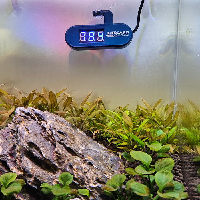 Lifegard Aquatics LED DIGITAL THERMOMETER