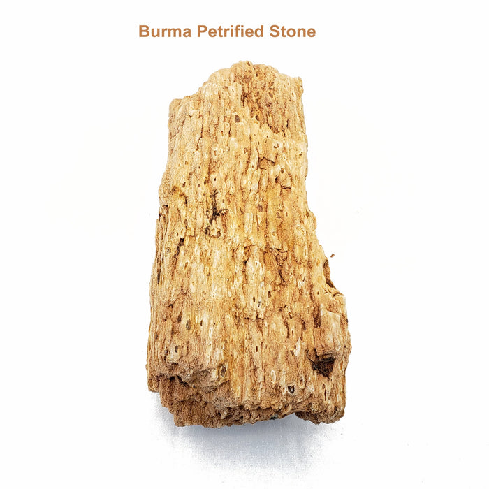 Lifegard Aquatics Burma Petrified Stone - 44 Lbs box of SMALL size stones