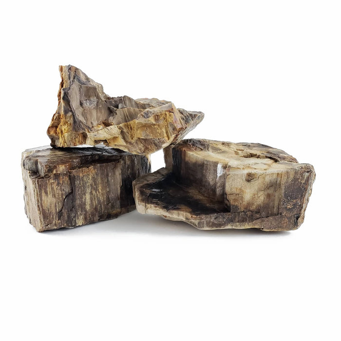 Lifegard Aquatics Canyon Petrified Stone - 44 Lbs box of MEDIUM size stones