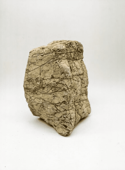 JBJ ELEPHANT SKIN STONE SMALL- 44 LBS BOX