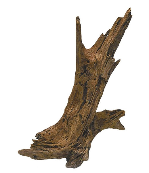 JBJ MALAYSIAN DRIFTWOOD - XL (24"-27")