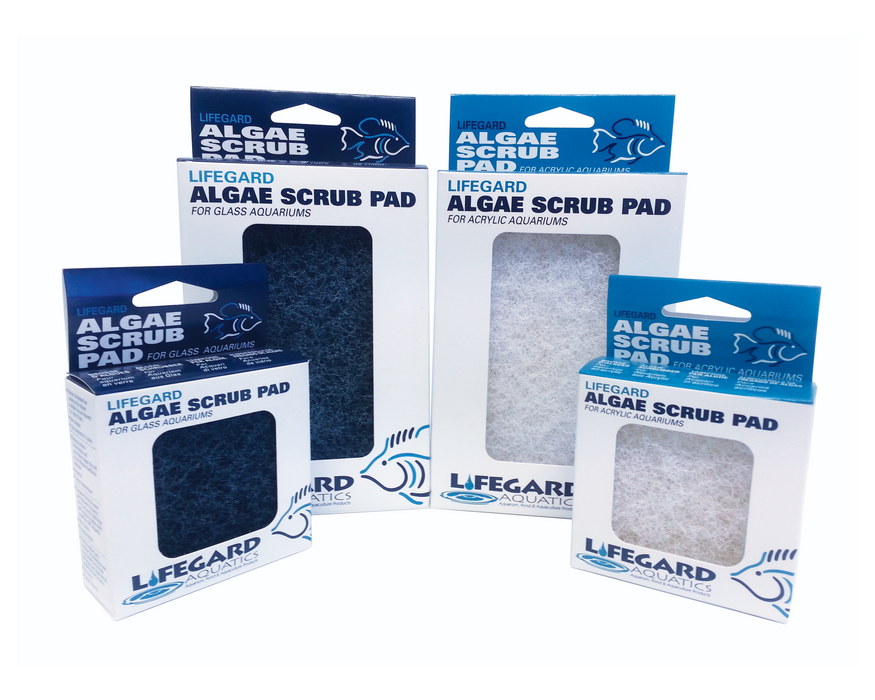 Lifegard Aquatics 4" x 6" BLUE ALGAE PAD Glass aquariums.