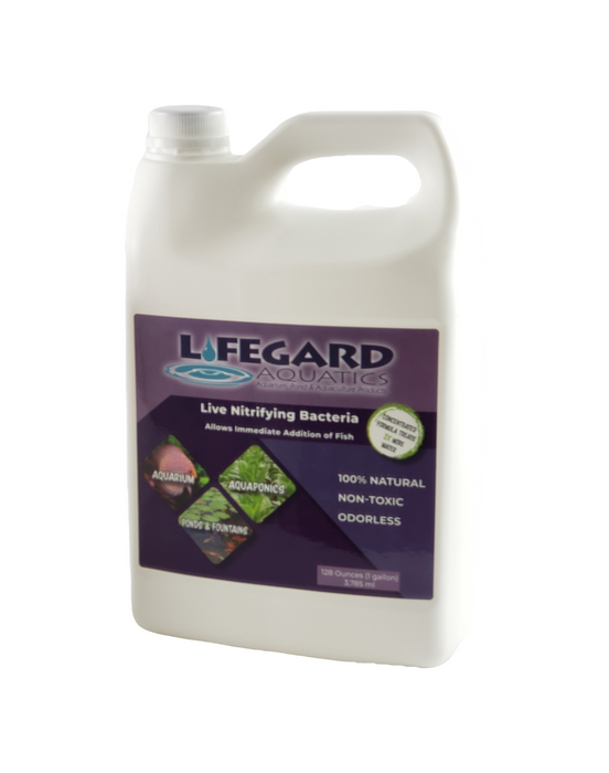 Lifegard Aquatics Live Nitrifying Bacteria 128 oz