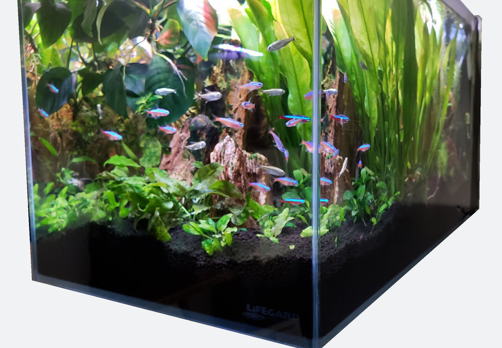 Lifegard Aquatics CRYSTAL 45 Degree Low Iron Ultra Clear Aquarium with Built in Side Filter (14.26 gallons, 23.62" x 11.81" x 11.81")