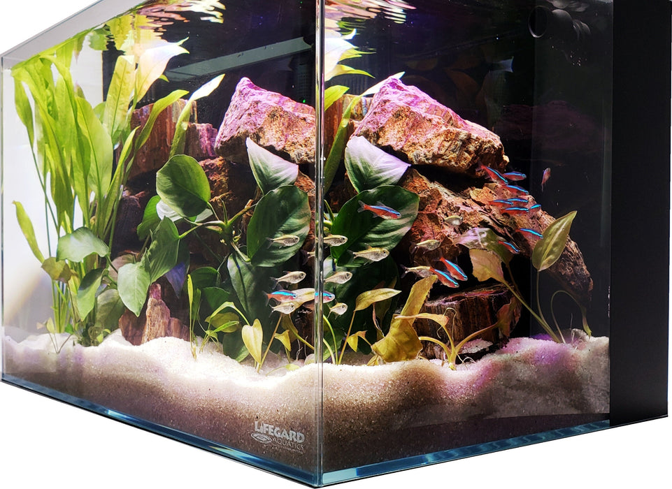 LIFEGARD Aquatic 24 Gallon Ultra Low Iron CRYSTAL Aquarium Kit with Built in Back Filter