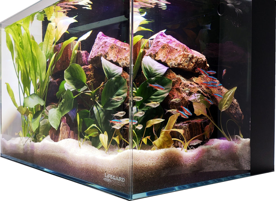 LIFEGARD Aquatic 4 Gallon Ultra Low Iron CRYSTAL Aquarium with Built in Back Filter