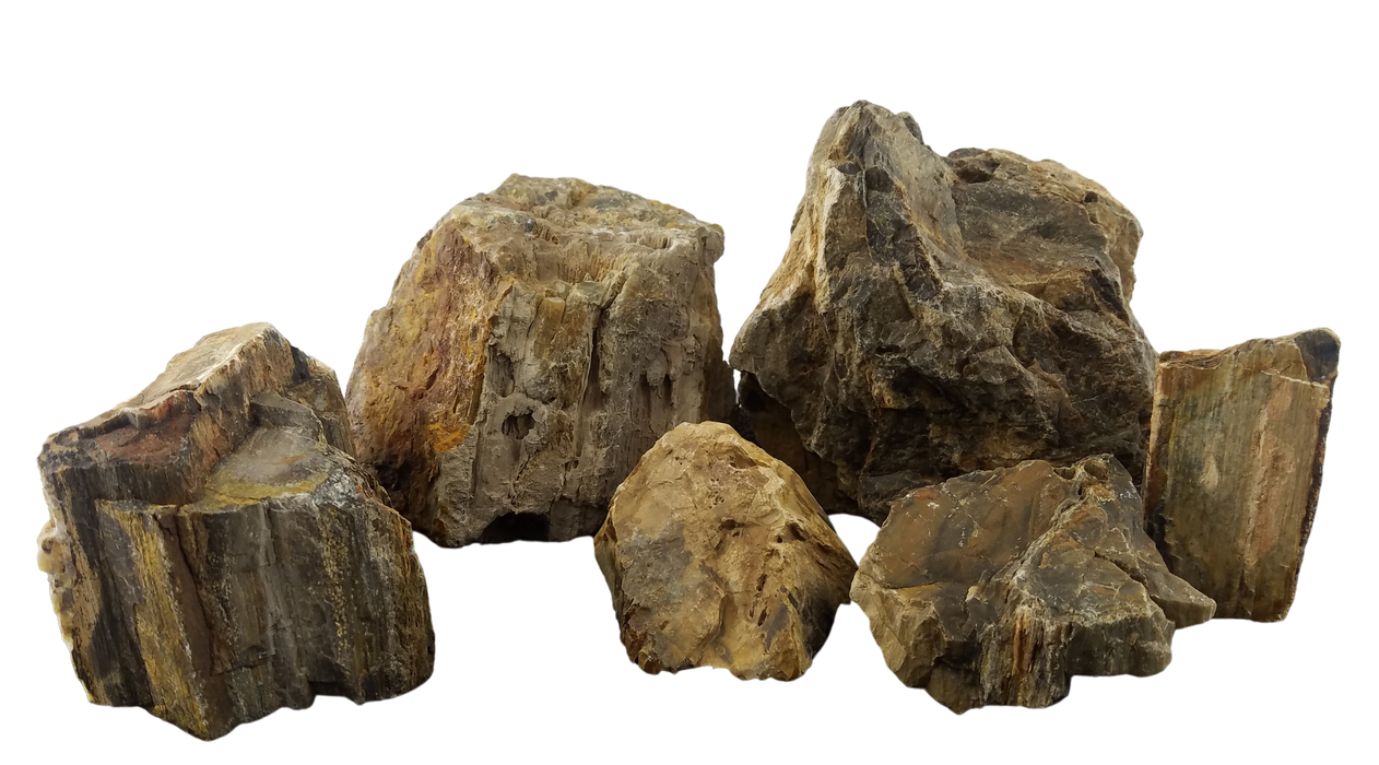 Lifegard Aquatics Canyon Petrified Stone - 44 Lbs box of MEDIUM size stones