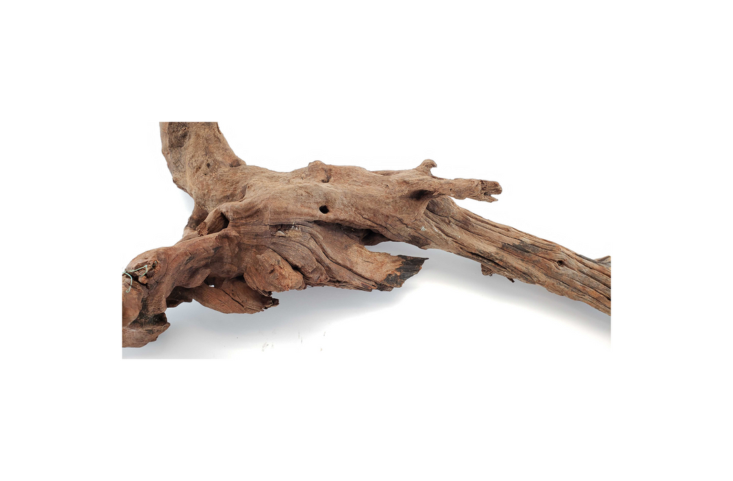 Lifegard Aquatics Drift Wood-Approximate Size 8"-12"