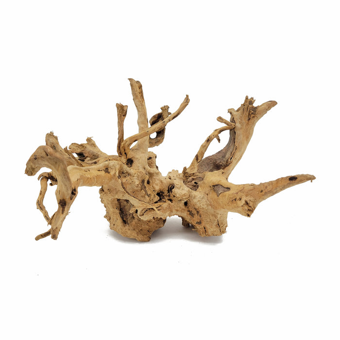 Lifegard Aquatics Spider Wood / Cuckoo Root - Approximate Size 12"-23"