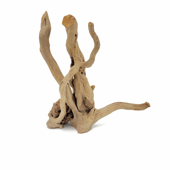 Lifegard Aquatics Spider Wood / Cuckoo Root - Approximate Size 12"-23"