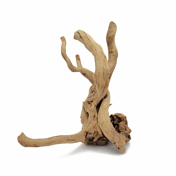 Lifegard Aquatics Spider Wood / Cuckoo Root - Approximate Size 12"-23"