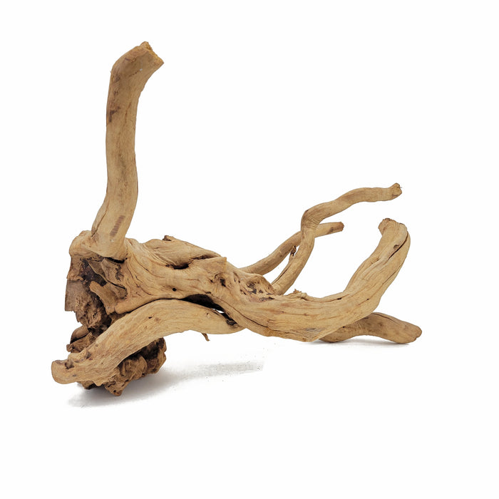 Lifegard Aquatics Spider Wood / Cuckoo Root - Approximate Size 12"-23"