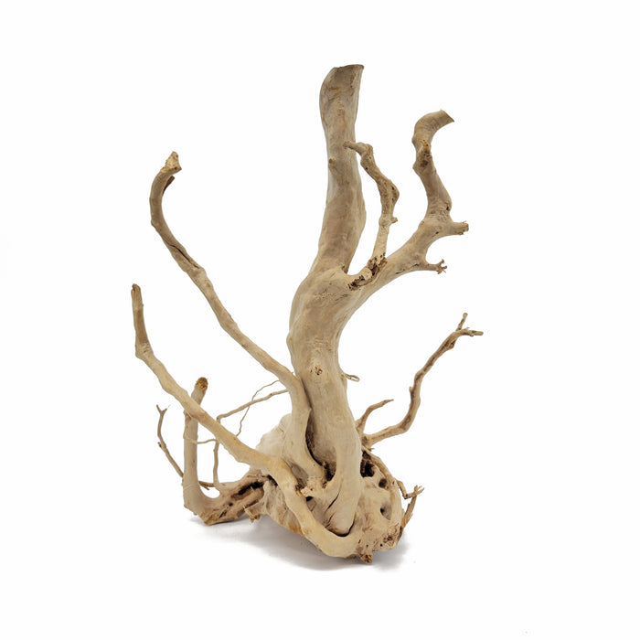 Lifegard Aquatics Spider Wood / Cuckoo Root - Approximate Size 12"-23"