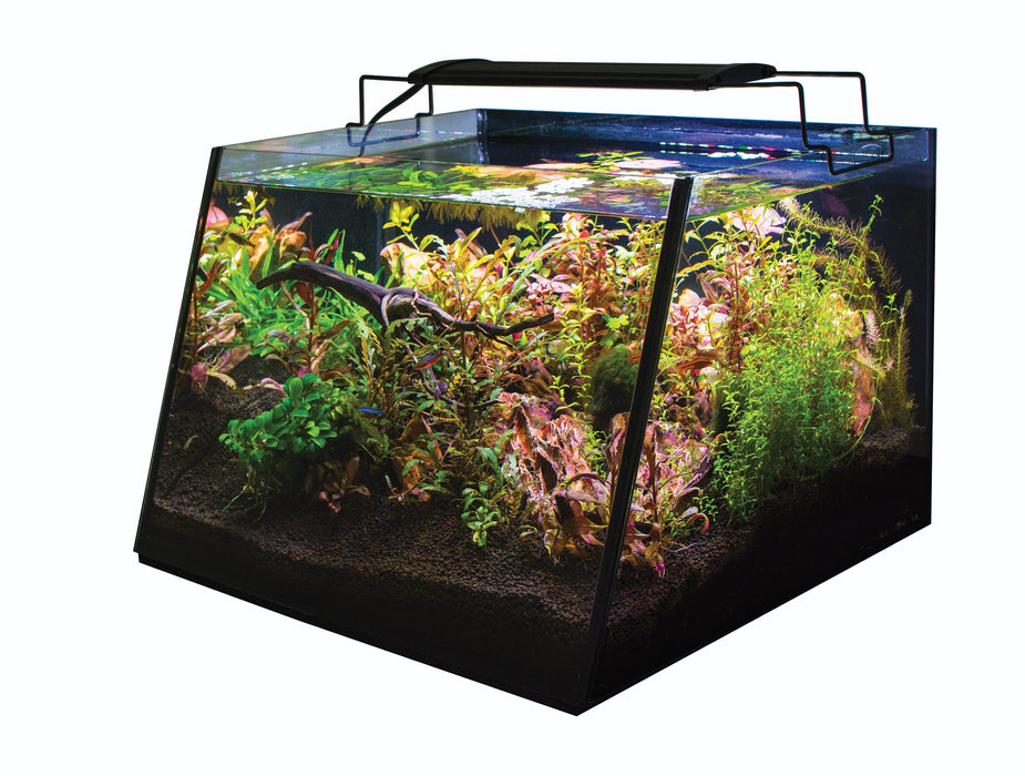 Lifegard Full-View 5 Gallon Aquarium KIT with LED Light and Submersible Filter