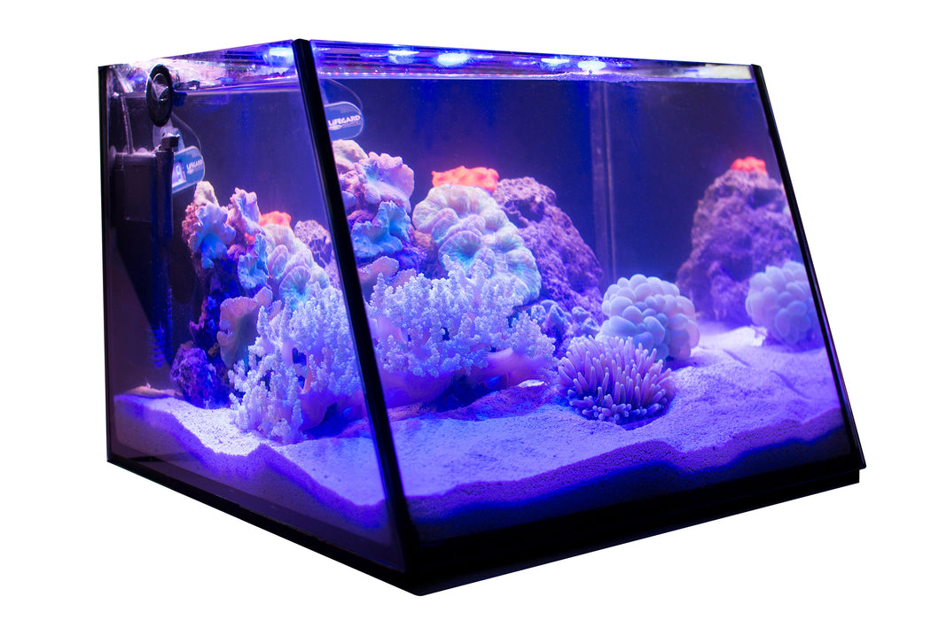 Lifegard Full-View 5 Gallon Aquarium KIT with LED Light and Submersible Filter